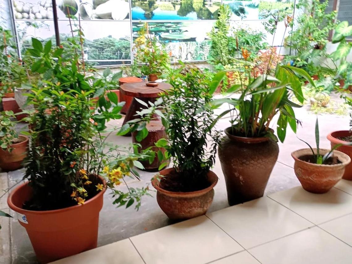 Hospedaje Casa Amazonica Икитос Экстерьер фото